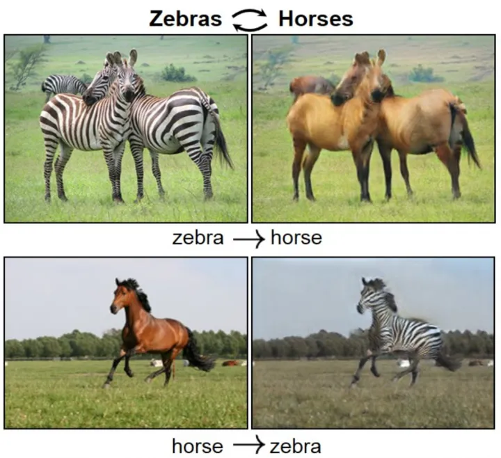 Esempi di immagini generate di zebre e cavalli